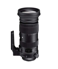 Sigma Nikon 60-600mm f4.5-6.3 Sport Lens