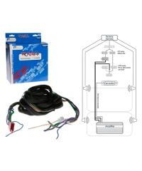 Aerpro Fast Harness With RCA - APFH6A