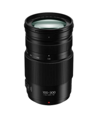 Panasonic Lumix G Vario 100-300mm f4-5.6 II Lens