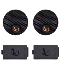 Infinity Alpha 603C Crossovers and Tweeters
