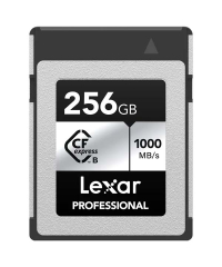 Lexar Professional CFexpress Type B Card SILVER Series 256GB - LCXEXSL256G-RNENG