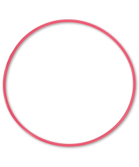 Olympus POL-054 O-Ring for PT-054 UW Housing