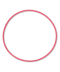 Olympus POL-058 O-Ring for PT-058