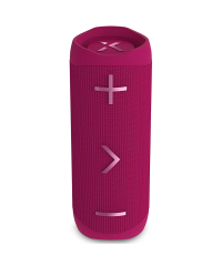 Blueant X3 MAX Speaker - Boidoir Red