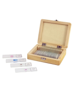 Celestron 25 Piece Prepared Microscope Slide Kit