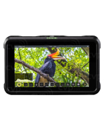 Atomos Shinobi 5.2'' 4K HDR Monitor