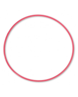 Olympus POL-EP01 O-Ring for PPO-EP01